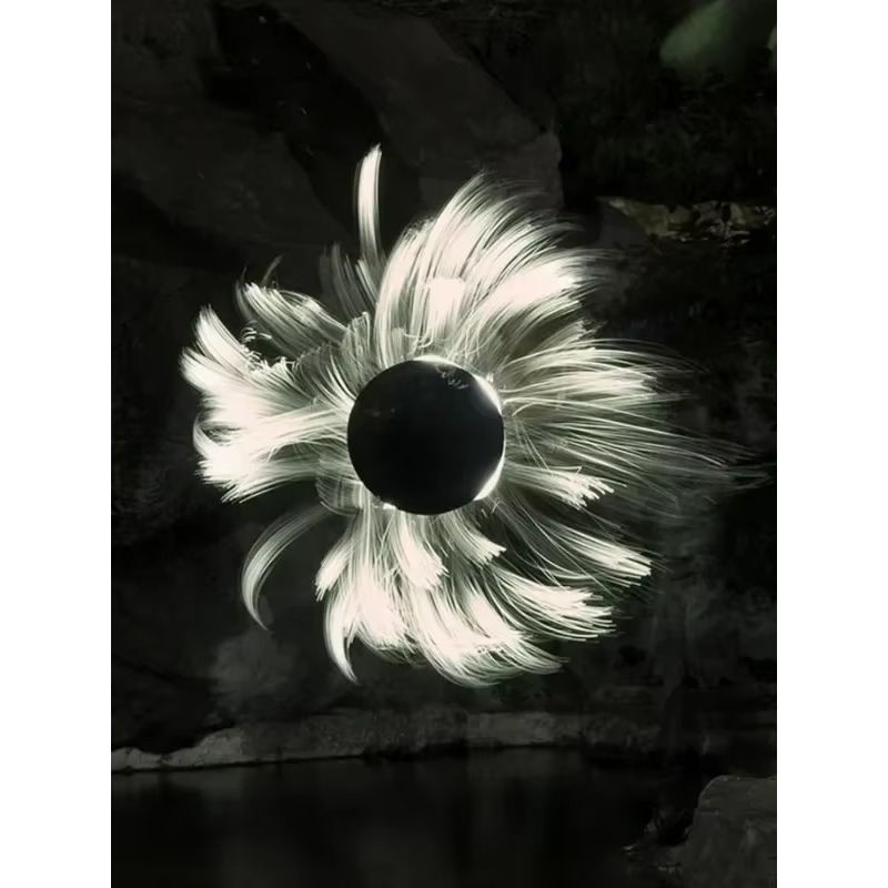 LLP light brush module light d - Photography Lighting Guides recension och pris