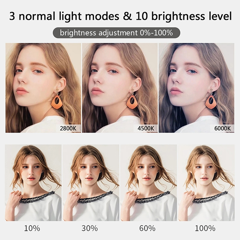 10 inch LED Selfie Ring Light  - Photography Lighting Overhead recension och pris